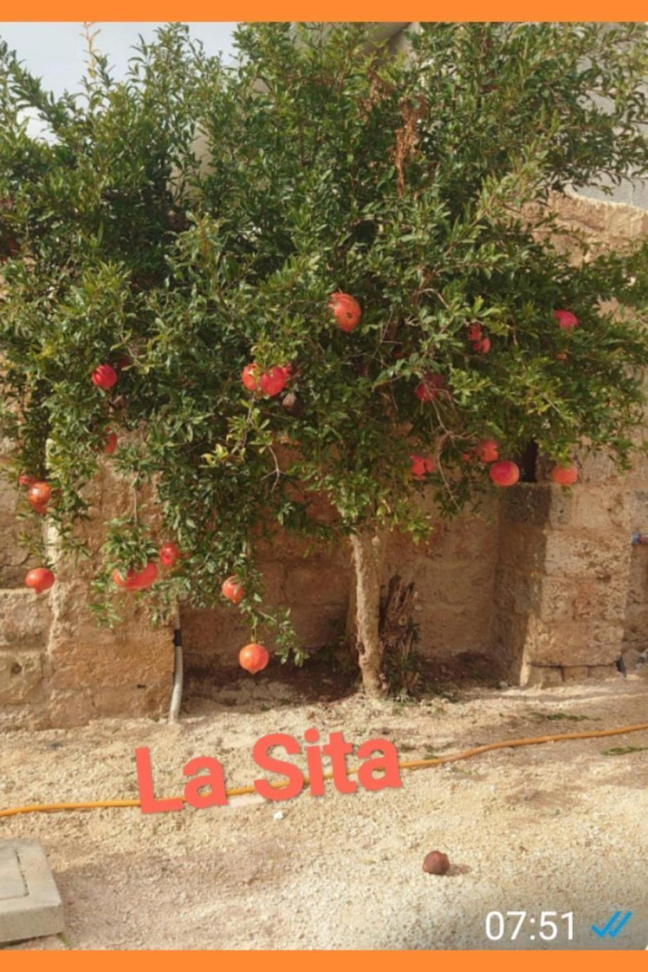 La Sita Apartment Neviano Exterior photo